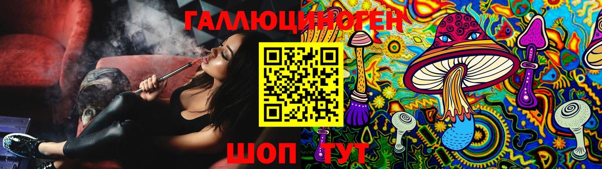 Псилоцибиновые грибы Psilocybe Бийск